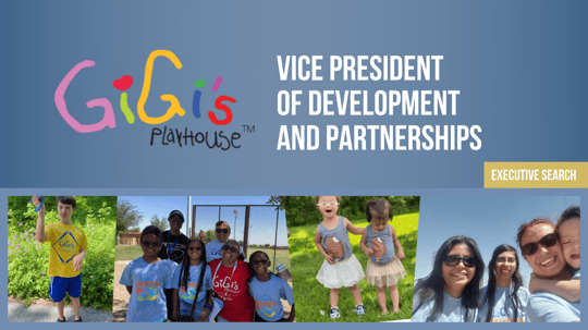 Executive Search: Vice President of Development and Partnerships