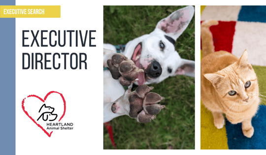 Executive Search: Heartland Animal Shelter Executive Director