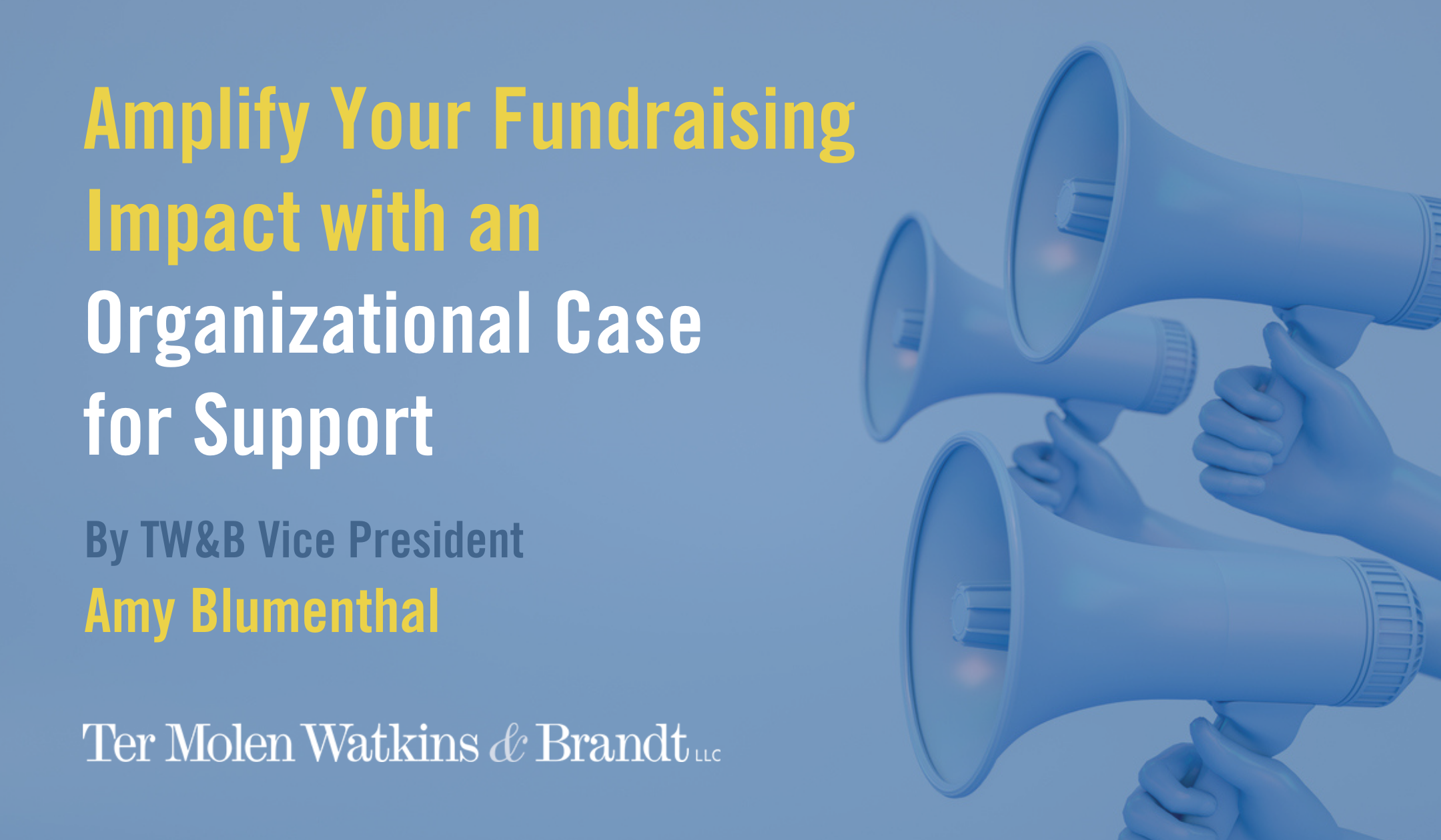 Amplifying Fundraising Impact with an Organizational Case for Support